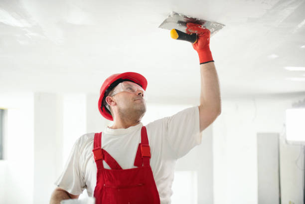 Eco-Friendly and Low-VOC Painting in Belding, MI